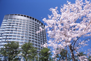 グランドアーク半蔵門