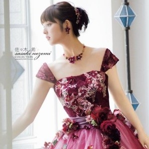佐々木希コレクション・バービードレス・シンデレラドレスを掲載しました。azuma-dressブログでは佐々木希さんドレスの詳細を載せております。